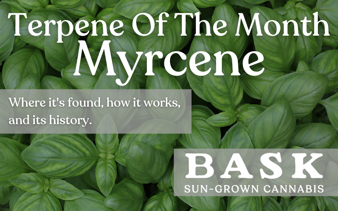 Myrcene Header